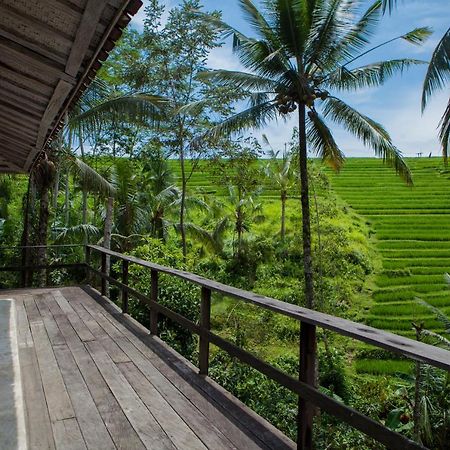 Be Bali Stay Ubud Eksteriør bilde