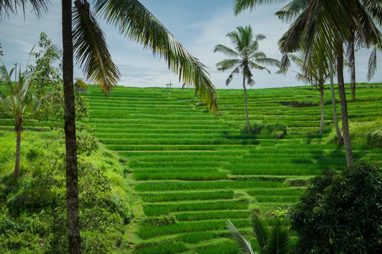 Be Bali Stay Ubud Eksteriør bilde