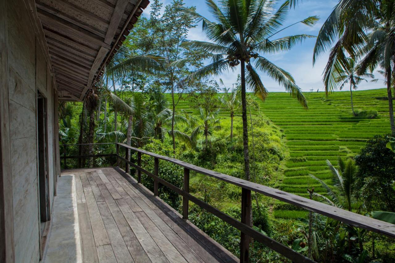Be Bali Stay Ubud Eksteriør bilde