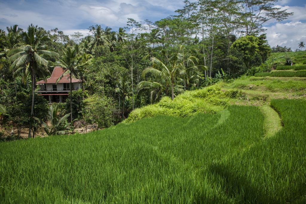 Be Bali Stay Ubud Eksteriør bilde